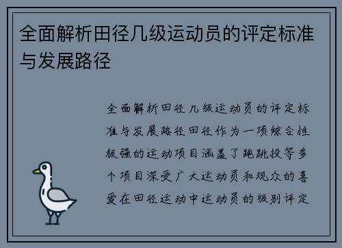 全面解析田径几级运动员的评定标准与发展路径